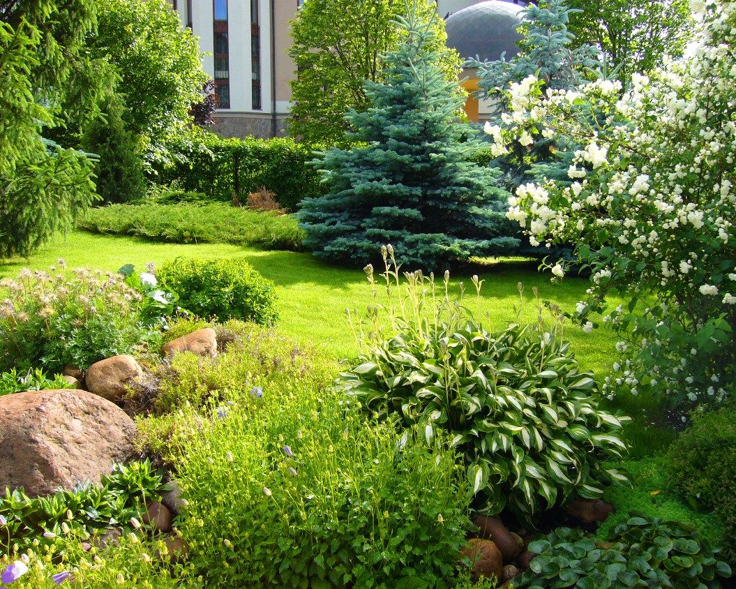 Ливадия на Истре